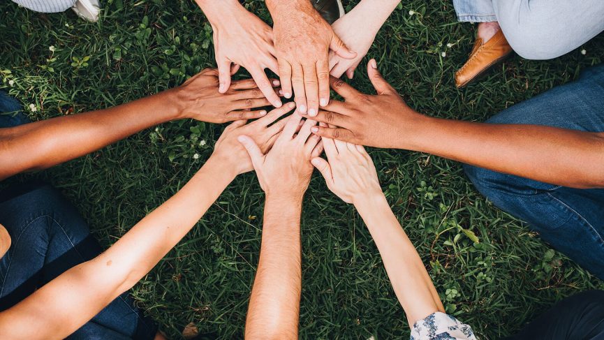 How a $4,000 Vet Bill Sparked Innovation at American Express